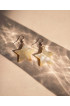 Handmade Shell Earrings